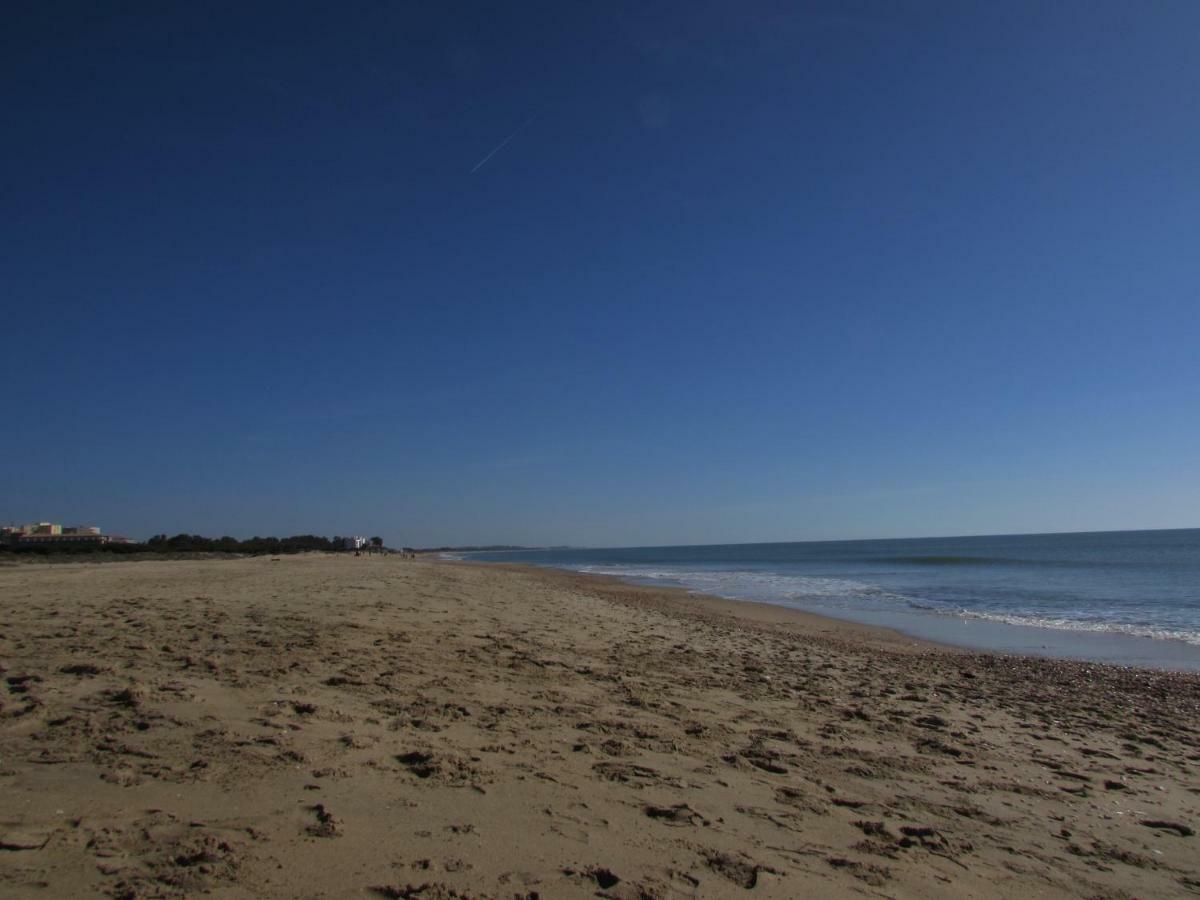Apartamento La Figuereta, Isola Cristina Esterno foto