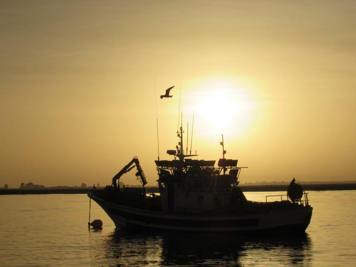 Apartamento La Figuereta, Isola Cristina Esterno foto