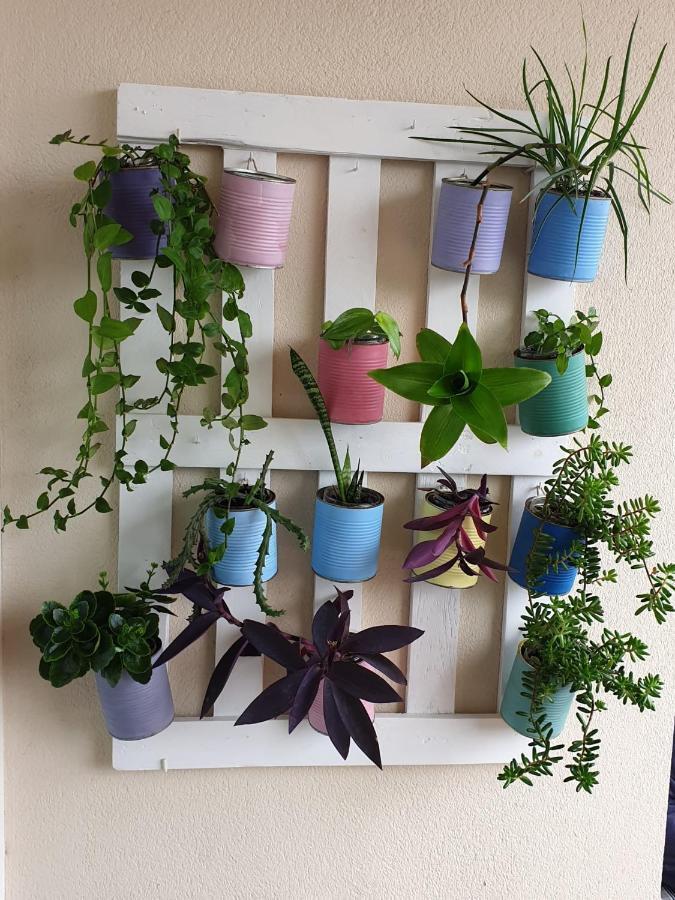 Apartamento La Figuereta, Isola Cristina Esterno foto